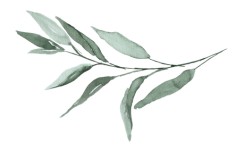 Horizontaler Salbeizweig